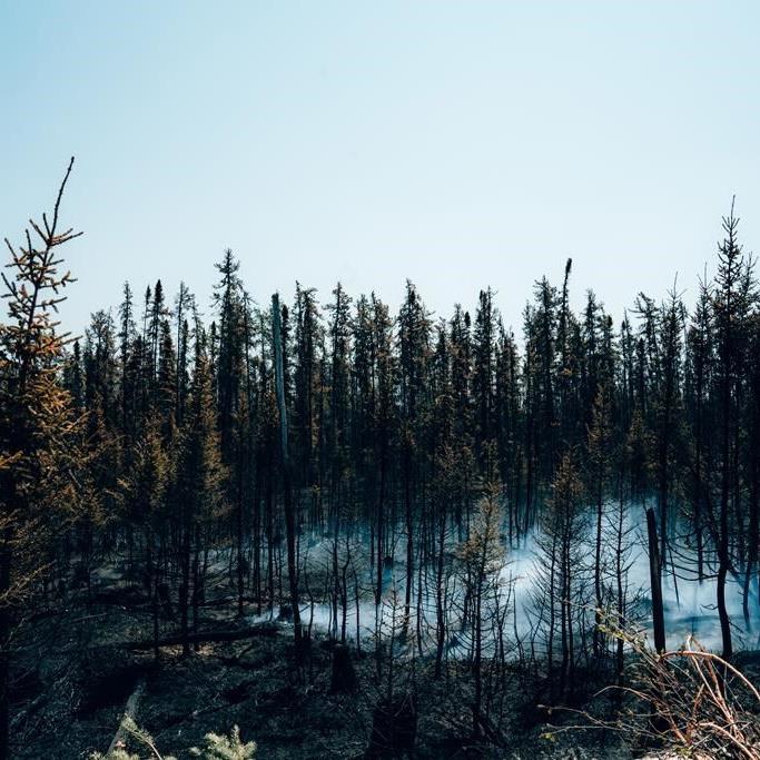 Wildfire tally tops 150 as thousands more evacuate northwestern Quebec